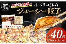 大西食品「イベリコ豚のジューシー餃子」《 ギョーザ 焼くだけ 簡単 イベリコ豚 ベジョータ 兵庫県 加古川市 》【2401I15301】