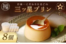 【五つ星ひょうご認定】日本一こだわりたまごの三ツ星プリン(125g×8個)《 プリン 三ツ星プリン こだわりたまご お取り寄せ スイーツ お菓子 デザート 》【2401H12608】