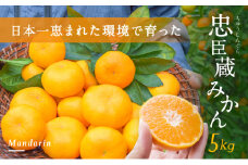 日本一恵まれた環境で育った、ツヤツヤ濃厚な『忠臣蔵みかん』5kg♪