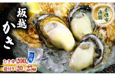 牡蠣 坂越かき 殻付き ＋ むき身 セット 殻付き20個～25個 むき身200g 牡蠣ナイフ付き 冬牡蠣 かき カキ