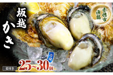 牡蠣 坂越かき 殻付き (25個～30個) 牡蠣ナイフ付き 冬牡蠣 かき カキ
