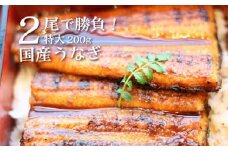 ★2尾で勝負！ふんわり手焼き国産うなぎ（約200g）×2尾★隠し味の赤穂の天塩も効いてます！