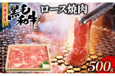 牛肉 兵庫県産 黒毛和牛 焼肉 ロース 500g【牧場直売店】[ お肉 アウトドア バーベギュー BBQ 霜降り ]