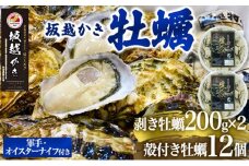  牡蠣 坂越かき 剥き牡蠣 200g×2、殻付き牡蠣 12個 軍手・オイスターナイフ付き[ 生牡蠣 かき カキ 生食 冬牡蠣 ] 魚貝類 剥き身 