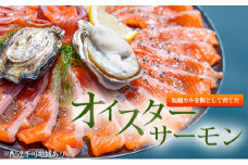 兵庫県産 オイスターサーモン（冷凍）（フィレ 2枚）400g～600g ～坂越カキを餌として育てたオイスターサーモン～