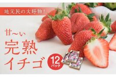 地元民の大好物「ありなしファーム」の甘～い完熟イチゴ(12パック)