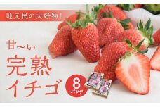 地元民の大好物「ありなしファーム」の甘～い完熟イチゴ(8パック)