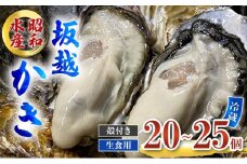 牡蠣 生食用 坂越かき 殻付き 20～25個 昭和水産 [ 生牡蠣 真牡蠣 かき カキ 冬牡蠣 ]