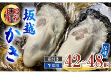 牡蠣 生食用 坂越かき 殻付き 42～48個 昭和水産 [ 生牡蠣 真牡蠣 かき カキ 冬牡蠣 ]
