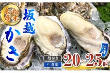 牡蠣 生食用 坂越かき 殻付き 20～25個 松本水産 [ 生牡蠣 真牡蠣 かき カキ 冬牡蠣 ]