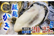 牡蠣 生食用 坂越かき 殻付き 20～25個 成林水産 [ 生牡蠣 真牡蠣 かき カキ 冬牡蠣 ]