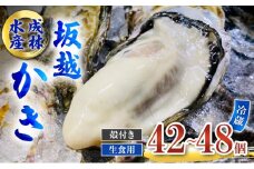 牡蠣 生食用 坂越かき 殻付き 42～48個 成林水産 [ 生牡蠣 真牡蠣 かき カキ 冬牡蠣 ]