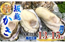 牡蠣 生食用 お試し 坂越かき 殻付き 13～15個 松本水産 [ 生牡蠣 真牡蠣 かき カキ 一人暮し 冬牡蠣 ]