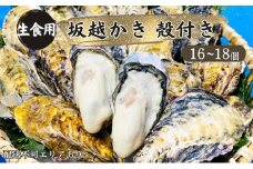 牡蠣 生食用 坂越かき 殻付き 16～18個 成林水産 [ 生牡蠣 真牡蠣 かき カキ 冬牡蠣 ]