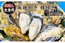 牡蠣 生食用 お試し 坂越かき 殻付き 10～12個 成林水産 [ 生牡蠣 真牡蠣 かき カキ 一人暮し 冬牡蠣 ]