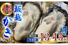 牡蠣 生食用 お試し 坂越かき 殻付き 13～15個 昭和水産 [ 生牡蠣 真牡蠣 かき カキ 一人暮し 冬牡蠣 ]