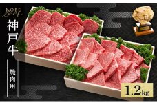 神戸牛 焼肉用 セット 計1.2kg AKYS5[ 肉 牛肉 神戸ビーフ かたロース ロース かた もも バーベキュー キャンプ アウトドア ]