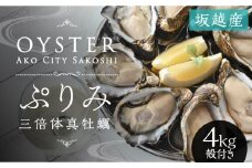【数量限定】年中おいしい！生食用真牡蠣『ぷりみ』4kg(ナイフ付き) 4kg カキ マガキ かき 殻付き 赤穂 養殖 夏も食べられる