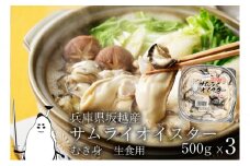 牡蠣 生食 坂越かき むき身 500g×3 サムライオイスター かき 生牡蠣 兵庫県 赤穂市