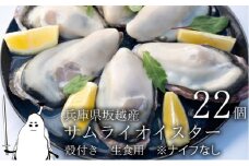 牡蠣 生食 坂越かき 殻付き22個【ナイフなし】 サムライオイスター　かき 生牡蠣 兵庫県 赤穂市