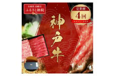 【和牛セレブ】 神戸牛 定期便 「エコノミークラス」（定期便4回）　定期 定期購入 牛肉 肉 神戸ビーフ 神戸肉 兵庫県 赤穂市