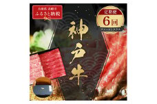 【和牛セレブ】 神戸牛 定期便 「ファーストクラス」（定期便6回）　定期 定期購入 牛肉 肉 神戸ビーフ 神戸肉 兵庫県 赤穂市