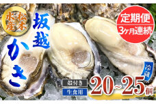 定期便 牡蠣 生食用 坂越かき 殻付き 20～25個《3ヶ月連続お届け》 松本水産 [ 生牡蠣 真牡蠣 かき カキ 冬牡蠣 ]