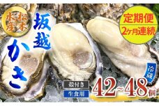定期便 牡蠣 生食用 坂越かき 殻付き 42～48個《2ヶ月連続お届け》 松本水産 [ 生牡蠣 真牡蠣 かき カキ 冬牡蠣 ]