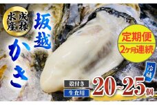 定期便 牡蠣 生食用 坂越かき 殻付き 20～25個《2ヶ月連続お届け》 成林水産 [ 生牡蠣 真牡蠣 かき カキ 冬牡蠣 ]