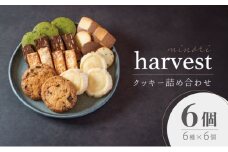 クッキー 詰め合わせ 6個入り 焼菓子 スイーツ 洋菓子 ギフト 赤穂市