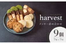 クッキー 詰め合わせ 9個入り 焼菓子 スイーツ 洋菓子 ギフト 赤穂市