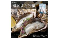 生食OK 坂越かき 殻付き生牡蠣12個入り3パック【冷凍】 生牡蠣 かき カキ 殻付 生食 国産 兵庫県 赤穂市