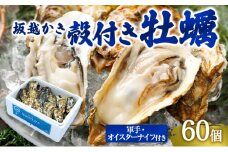 牡蠣 坂越かき 殻付き牡蠣60個 軍手・オイスターナイフ付き[ 生牡蠣 かき カキ 殻付 生食 冬牡蠣 ] 魚貝類 