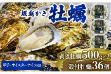  牡蠣 坂越かき 剥き牡蠣 500g×2、殻付き牡蠣 36個 軍手・オイスターナイフ付き[ 生牡蠣 かき カキ 生食 冬牡蠣 ] 魚貝類 剥き身 