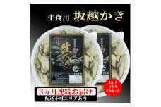  定期便 牡蠣 坂越かき 剥き牡蠣 500g×2【3ヵ月連続お届け】[ 生牡蠣 かき カキ むき身 剥き身 生食 冬牡蠣 ] 魚貝類 