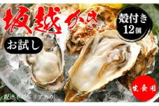 牡蠣 お試し 坂越かき 殻付き牡蠣 12個 軍手・オイスターナイフ付き[ 生牡蠣 かき カキ 殻付 生食 一人暮し 冬牡蠣 ] 魚貝類 海鮮 海の幸 1年牡蠣 濃厚 クリーミー 