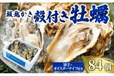 牡蠣 坂越かき 殻付き牡蠣 84個 軍手・オイスターナイフ付き[ 生牡蠣 かき カキ 殻付 生食 冬牡蠣 国産 ] 兵庫県 赤穂市