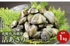 【2026年3月上旬より出荷開始】兵庫県 赤穂市 坂越産 活あさり 1kg アサリ 浅利 