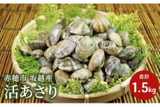 【2026年3月上旬より出荷開始】兵庫県 赤穂市 坂越産 活あさり 1.5kg アサリ 浅利 