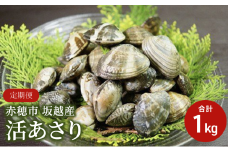 2026年３月上旬順次出荷開始【定期便３ヶ月連続お届け】兵庫県 赤穂市 坂越産 活あさり 1kg