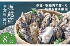 【2026年1月上旬より出荷開始】メディアでも話題の生食用カキ！赤穂・坂越湾で育った新鮮な身を厳選(坂越産カキ 生食用 殻付8kg)[ 牡蠣 冬牡蠣 ] 魚介類 