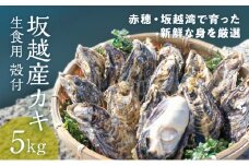【2026年1月上旬より出荷開始】メディアでも話題の生食用カキ！赤穂・坂越湾で育った新鮮な身を厳選(坂越産カキ 生食用 殻付5kg)[ 牡蠣 冬牡蠣 ] 魚介類 