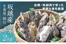 【2026年1月上旬より出荷開始】メディアでも話題の生食用カキ！赤穂・坂越湾で育った新鮮な身を厳選(坂越産カキ 生食用 殻付2kg)[ 牡蠣 冬牡蠣 ] 魚介類 