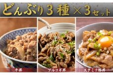 どんぶりの具セット・どんぶりの具・どんぶりの具詰め合わせ　冷凍 惣菜 簡単 レトルト 夜食 おかず 丼