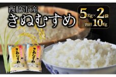 【ブランド米 きぬむすめ】精米10kg（5kg×2）(19.5-3)