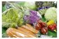 旬菜館では、市場ではあまり見かけないような珍しい野菜も多数あります♪
