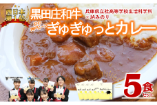 （神戸ビーフカレー）黒田庄和牛ぎゅぎゅっとカレ～５食セット(08-10 )