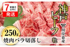 【神戸牛 牝】【7営業日以内発送】バラ焼肉切落し:250g 川岸畜産 (15-36)