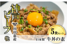 【神戸牛 牝】牛丼の素５食セット 川岸畜産 (12-12)