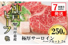 期間限定品【神戸牛 牝】【7営業日以内発送】極厚サーロインステーキ ハーフカット:2枚 約250g 川岸畜産 （20-31）